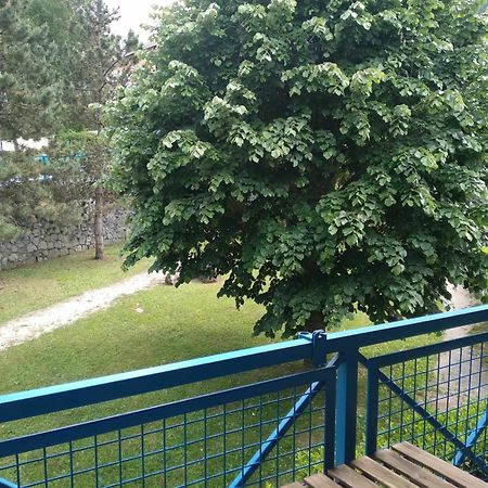 Duplex Lumineux - 40M2 - 2 Chambres - Balcon Terrasse - Parking - Entierement Renove En Mai 2024 Cauterets Exteriör bild